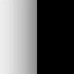 Blk Silver