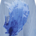 Splash