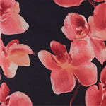 Navy Rose